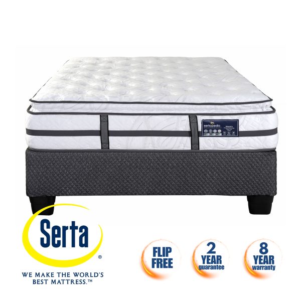Sertapedic Maestro Plush Pillow Top - Base & Mattress - Queen - Image 2