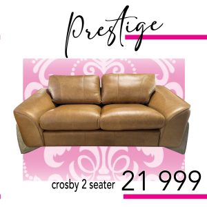 Crosby 2 seater couch